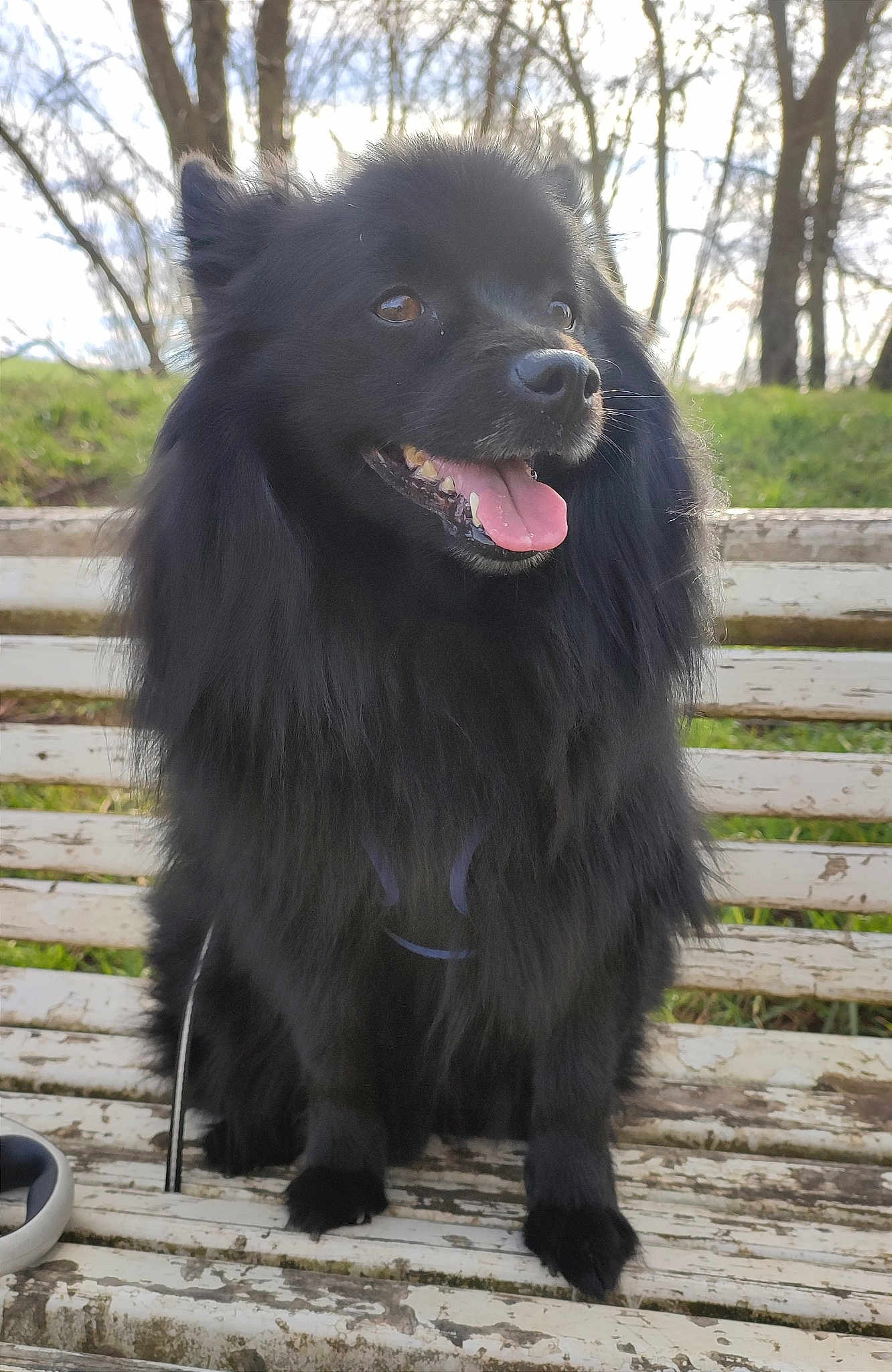 Marley