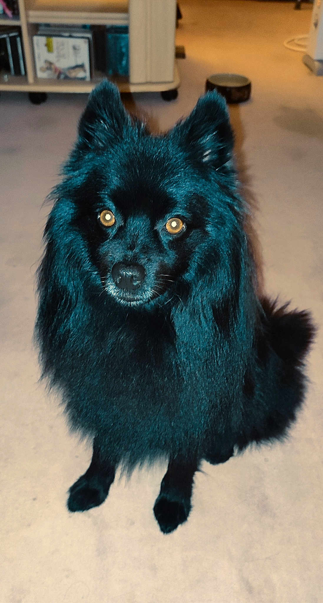Marley