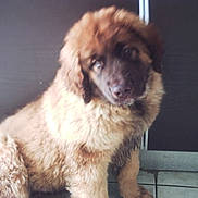 ELLO participe au concours pour gagner de l'argent avec cette photo :