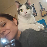 Sylvia is registered to the contest to win money with this photo: animal, casual_clothing, cat, cozy, curious_eyes, domestic_animal, earrings, furniture, guitar, home, human, indoor, light, person, pet, portrait, shoulder, smile, wall, wall_art