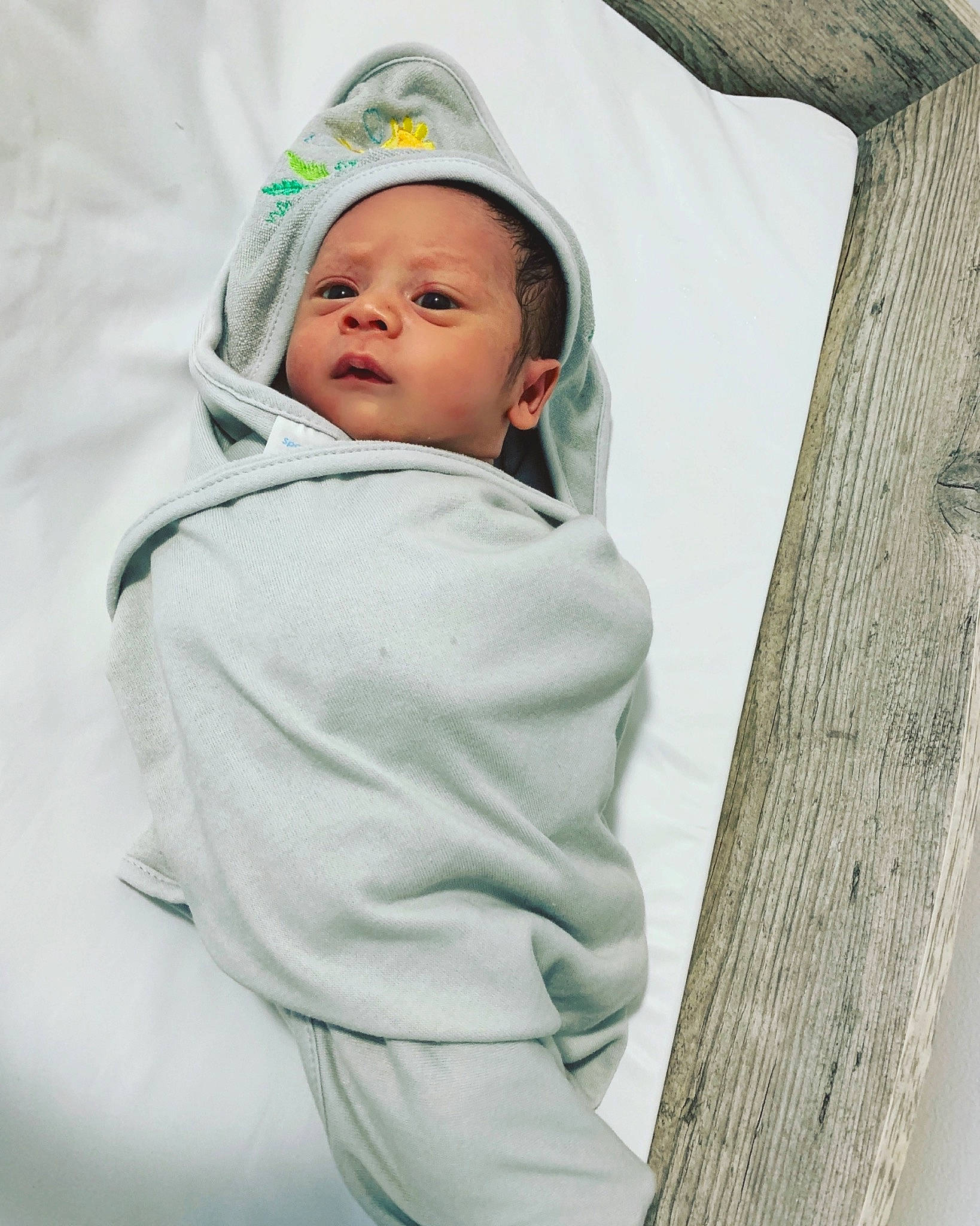 Benji joined the competition — help win amazing prizes! baby, baby_products, child, eye, green, linens, outerwear, person, photography, product, skin, smile, textile, toddler, tree, white