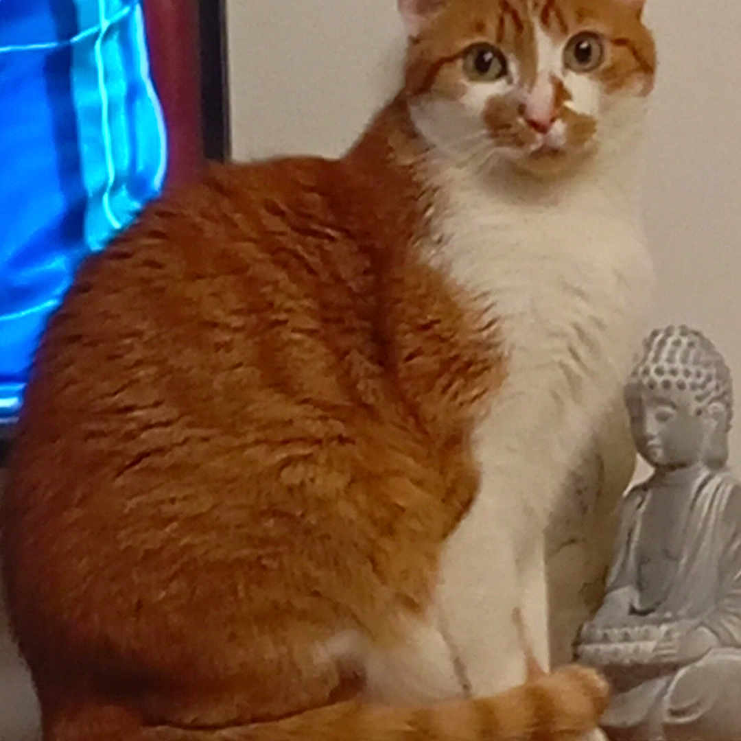 Caramel