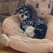 Luna is registered to the contest to win money with this photo: animal, black_and_white, clothing, cozy, cute, dog, fur, furniture, home, indoor, leopard_print, pet, pink_chair, plush, relaxing, sitting, small_dog, stuffed_animal_chair, unicorn_chair, wooden_floor