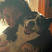 Mia is registered to the contest to win money with this photo: animal, arm, black_and_white_dog, blue_eyes, casual, close_up, curly_hair, dog, face, happy, hug, indoor, light, person, pet, smiling, tattoo, tongue_out, window, wooden_furniture