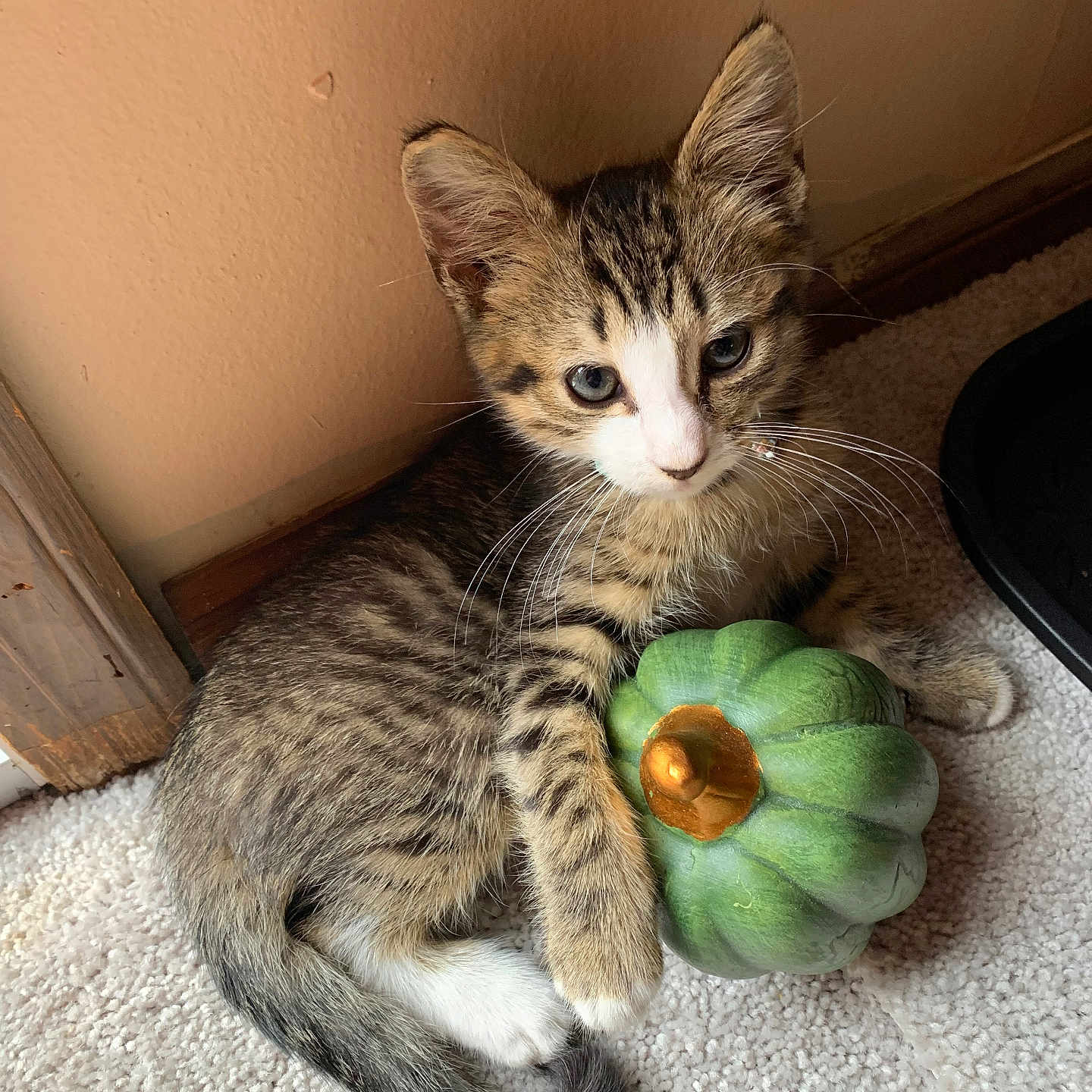 Tigger
