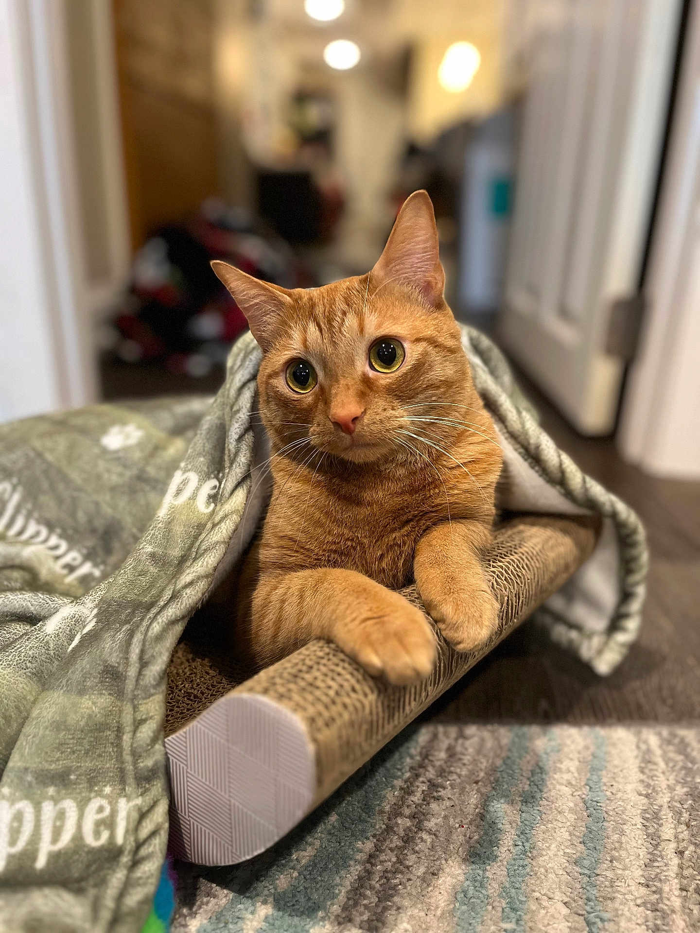 Nugie
