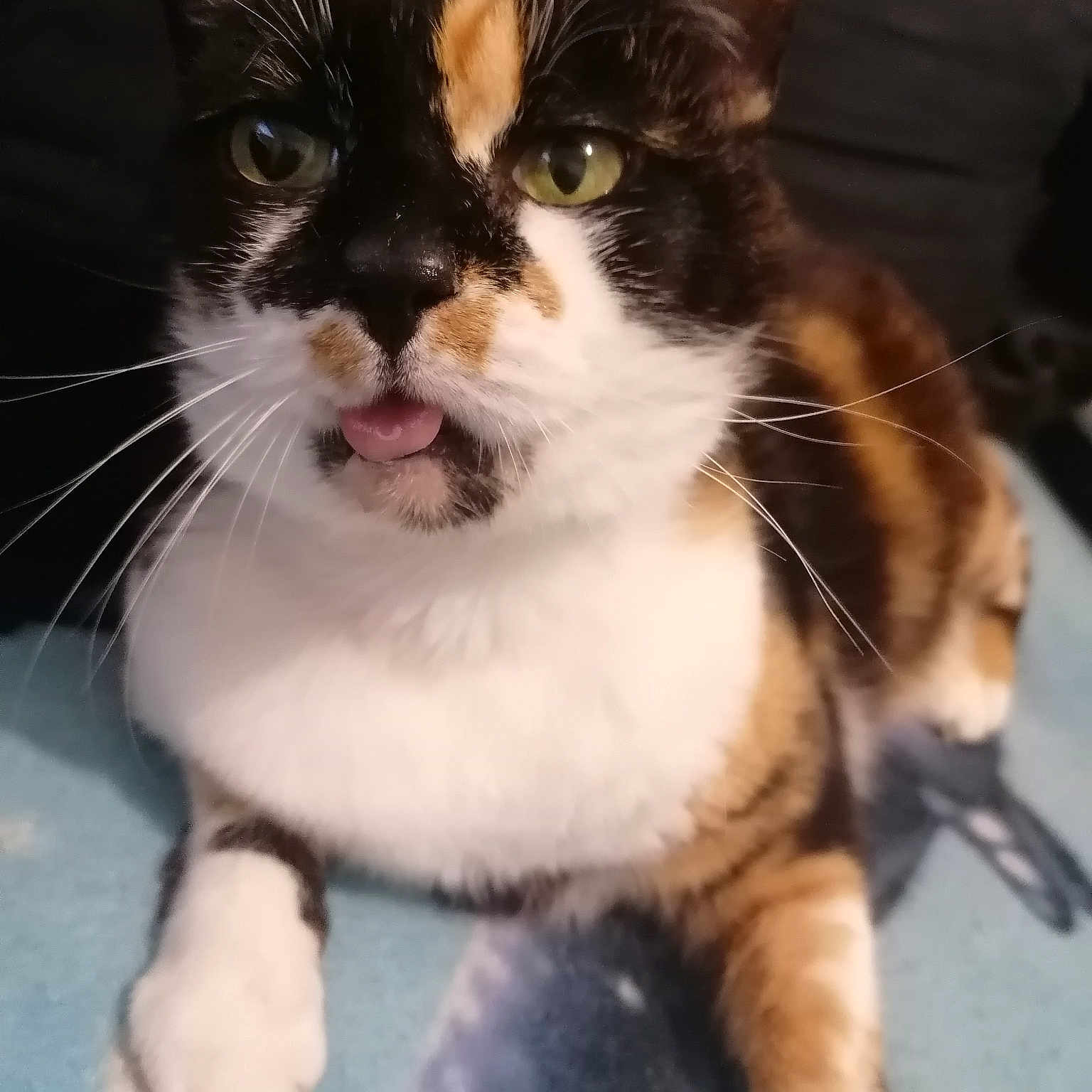 Louna