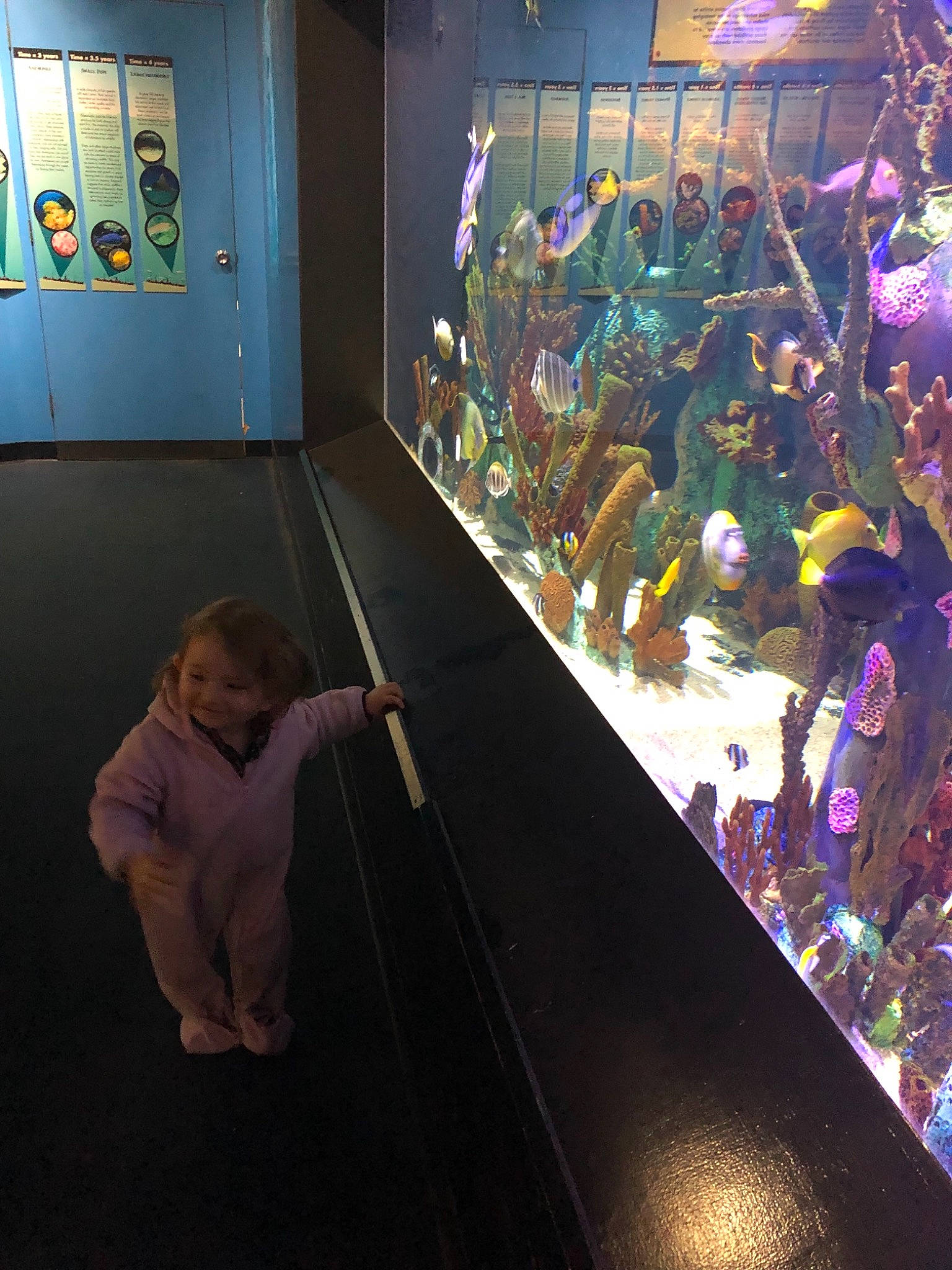 Alexis joined the competition — help win amazing prizes! adaptation, aquarium, art, child, event, fun, glass, joy, leisure, museum, organism, person, tourist_attraction, world