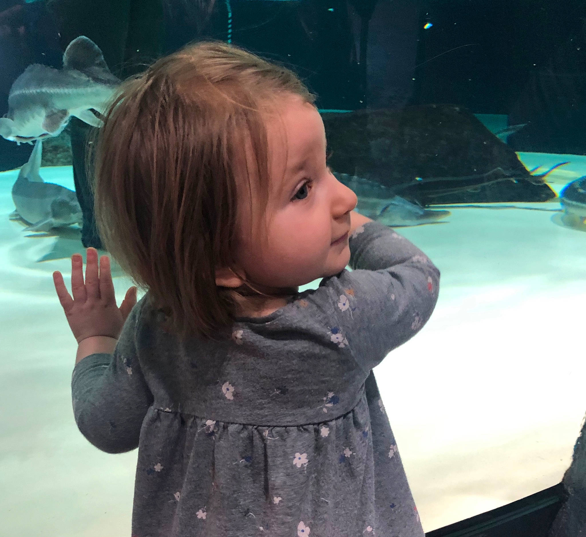 Alexis joined the competition — help win amazing prizes! cheek, child, face, nose, person, skin, toddler