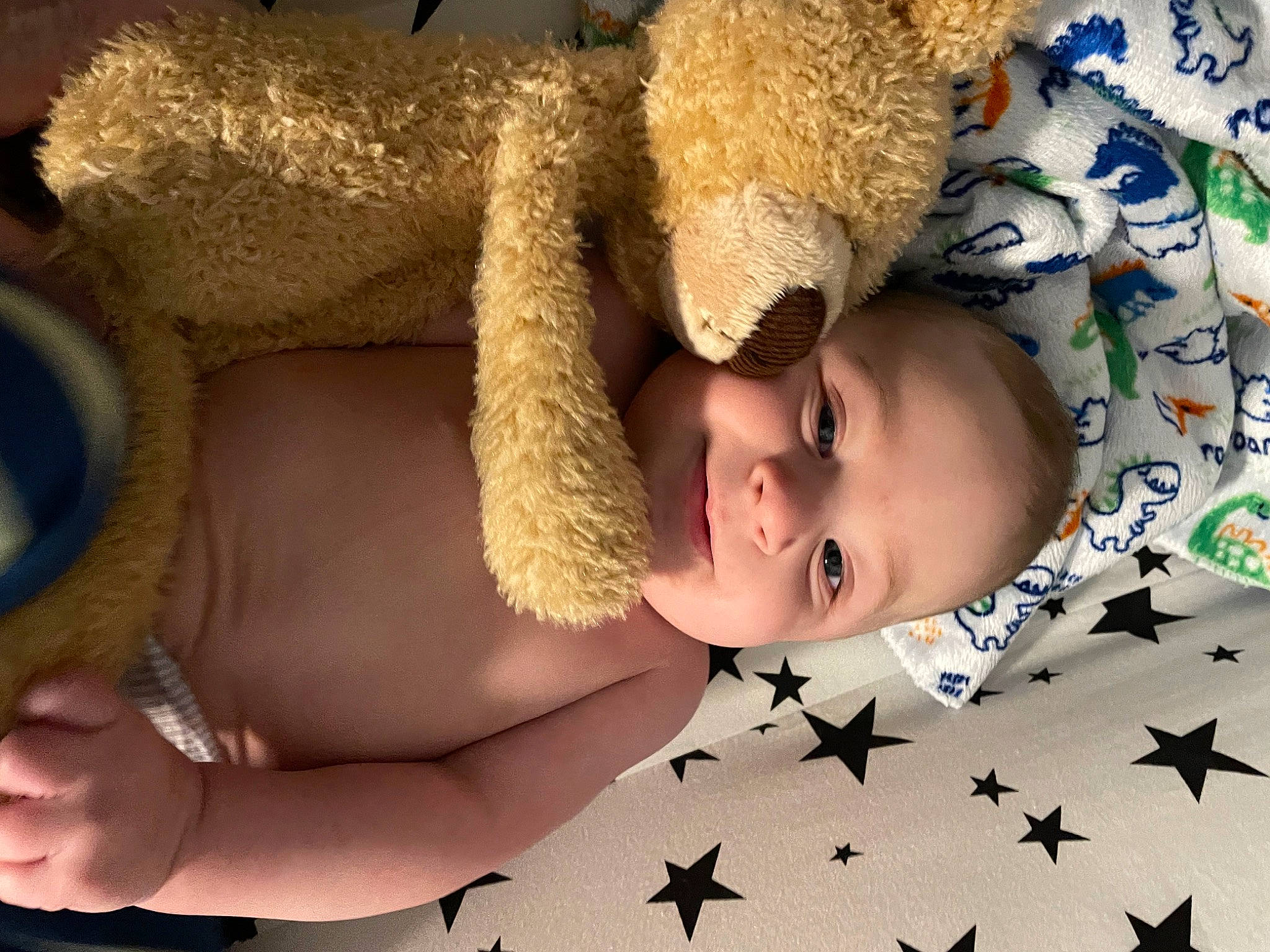 Niko joined the competition — help win amazing prizes! baby, baby_toddler_clothing, beauty, child, face, facial_expression, finger, hand, happy, head, headgear, human, light, organ, people_in_nature, person, skin, smile, textile, toddler