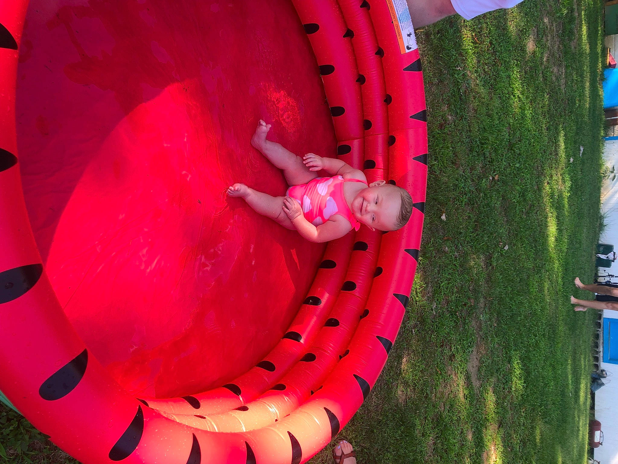 Nevaeh joined the competition — help win amazing prizes! automotive_tire, automotive_wheel_system, carmine, chute, coquelicot, event, flesh, fun, games, garden, grass, joy, lawn_ornament, leisure, magenta, person, petal, pink, plant, recreation