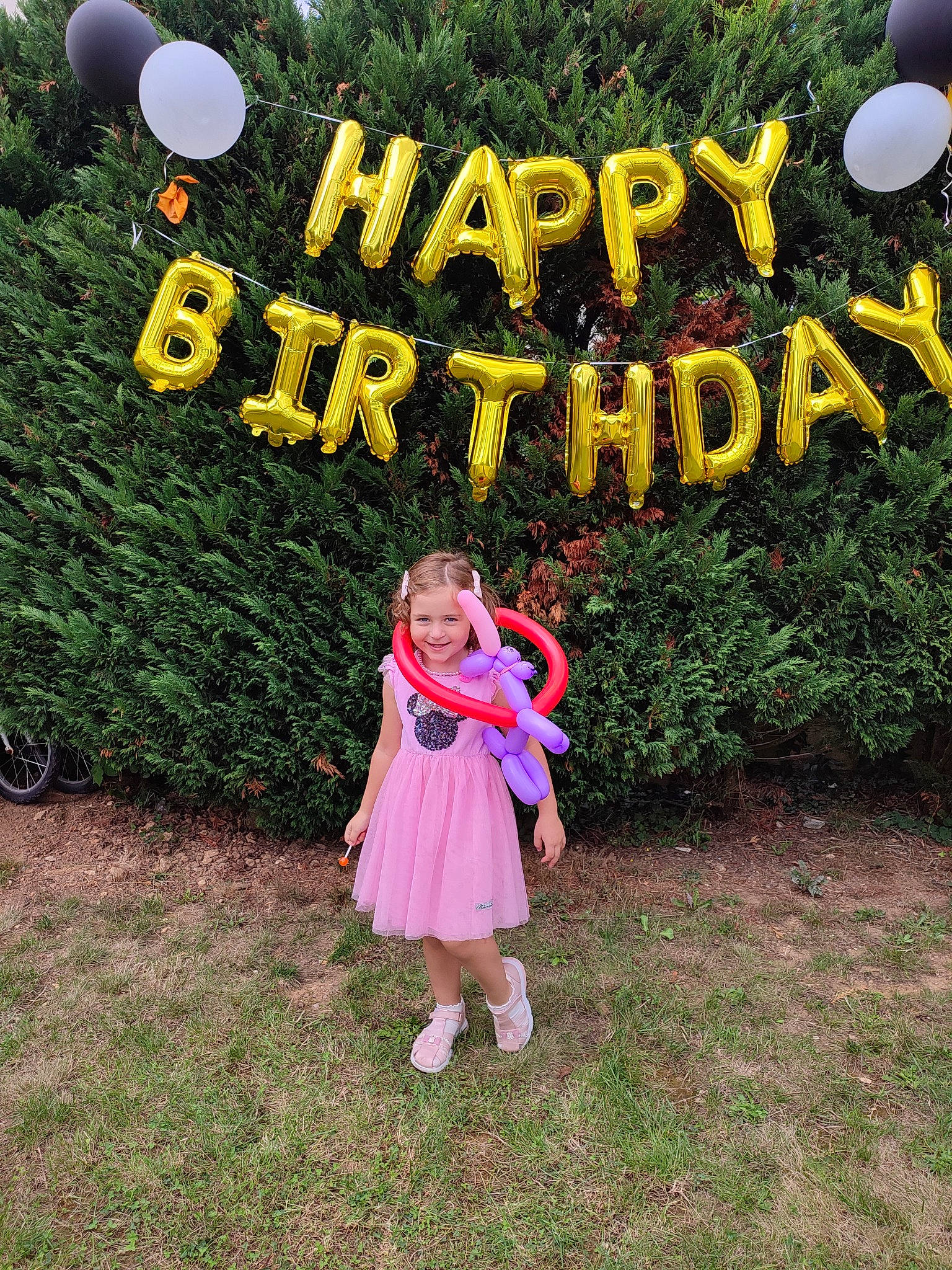 Evelina participe au concours pour gagner de l'argent avec cette photo : balloon, botany, event, facial_expression, font, fun, grass, grassland, happy, joy, lawn, leisure, magenta, people_in_nature, person, pink, plant, recreation, shrub, summer