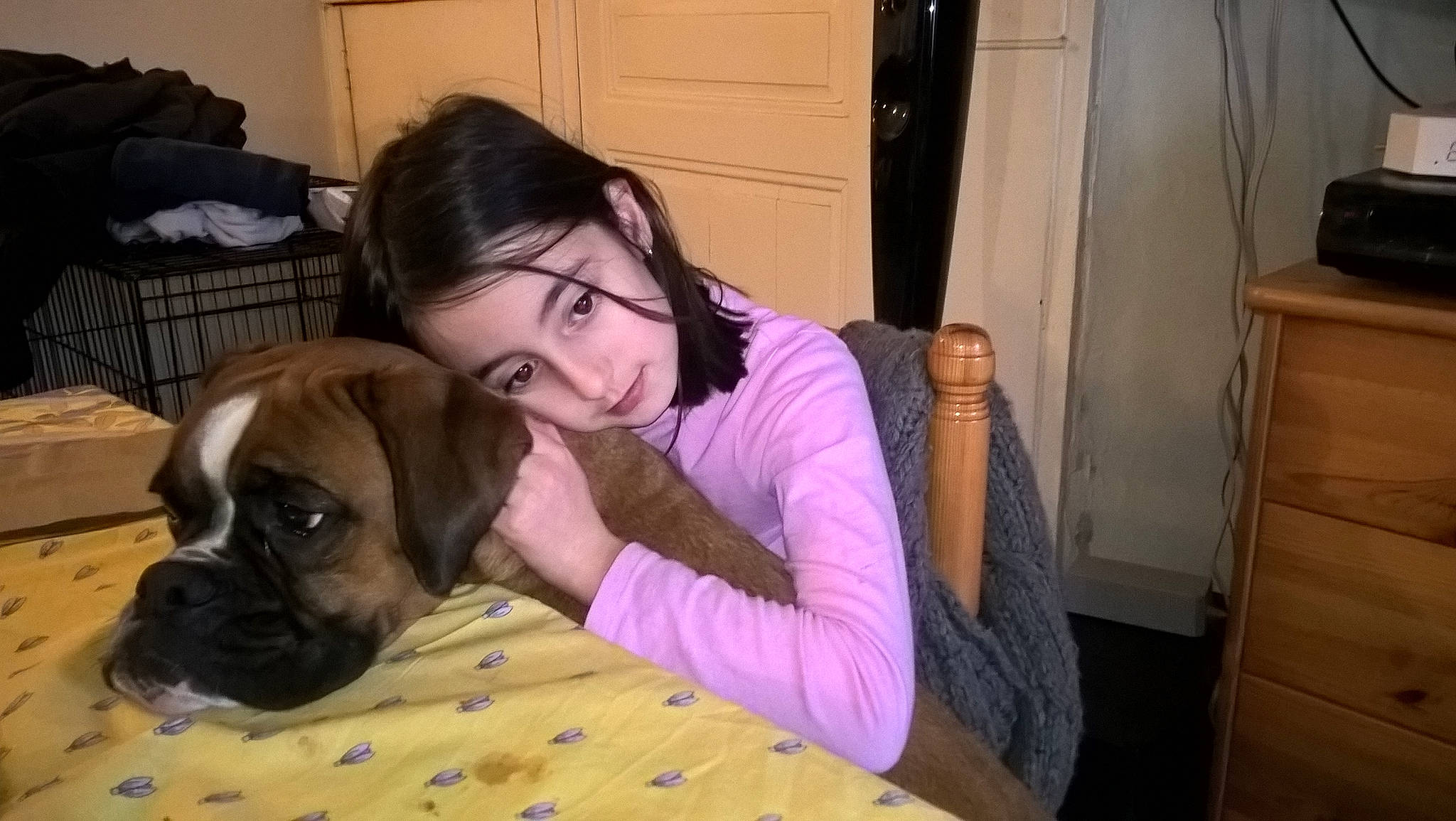 Jodie a rejoint le concours — aidez-le/la à gagner de superbes lots ! boerboel, boston_terrier, boxer, bullmastiff, carnivoran, dog, dog_breed, dog_breed_group, dog_like_mammal, fawn, mammal, old_english_bulldog, olde_english_bulldogge, person, pug, puggle, puppy, puppy_love, snout, toy_bulldog