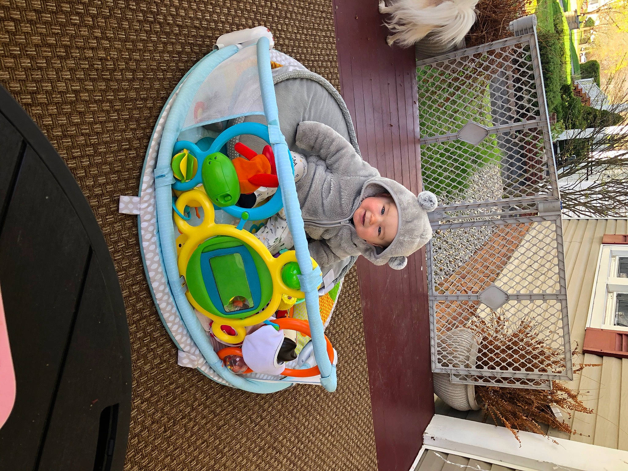 Sullivan joined the competition — help win amazing prizes! baby_products, child, headwear, person, play, product, toddler