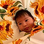 baby, bed, blanket, cushion, daisy, face, flower, furniture, happy, head, homedecor, leaf, newborn, person, petal, photography, plant, portrait, smile, sunflower