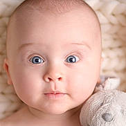 Anas participe au concours pour gagner de l'argent avec cette photo : baby, infant, face, blue_eyes, plush_toy, stuffed_animal, knitted_blanket, soft_texture, close_up, cute, child, portrait, cuddly, indoors, newborn, expression, baby_skin, toy, comfort, sleeping_area