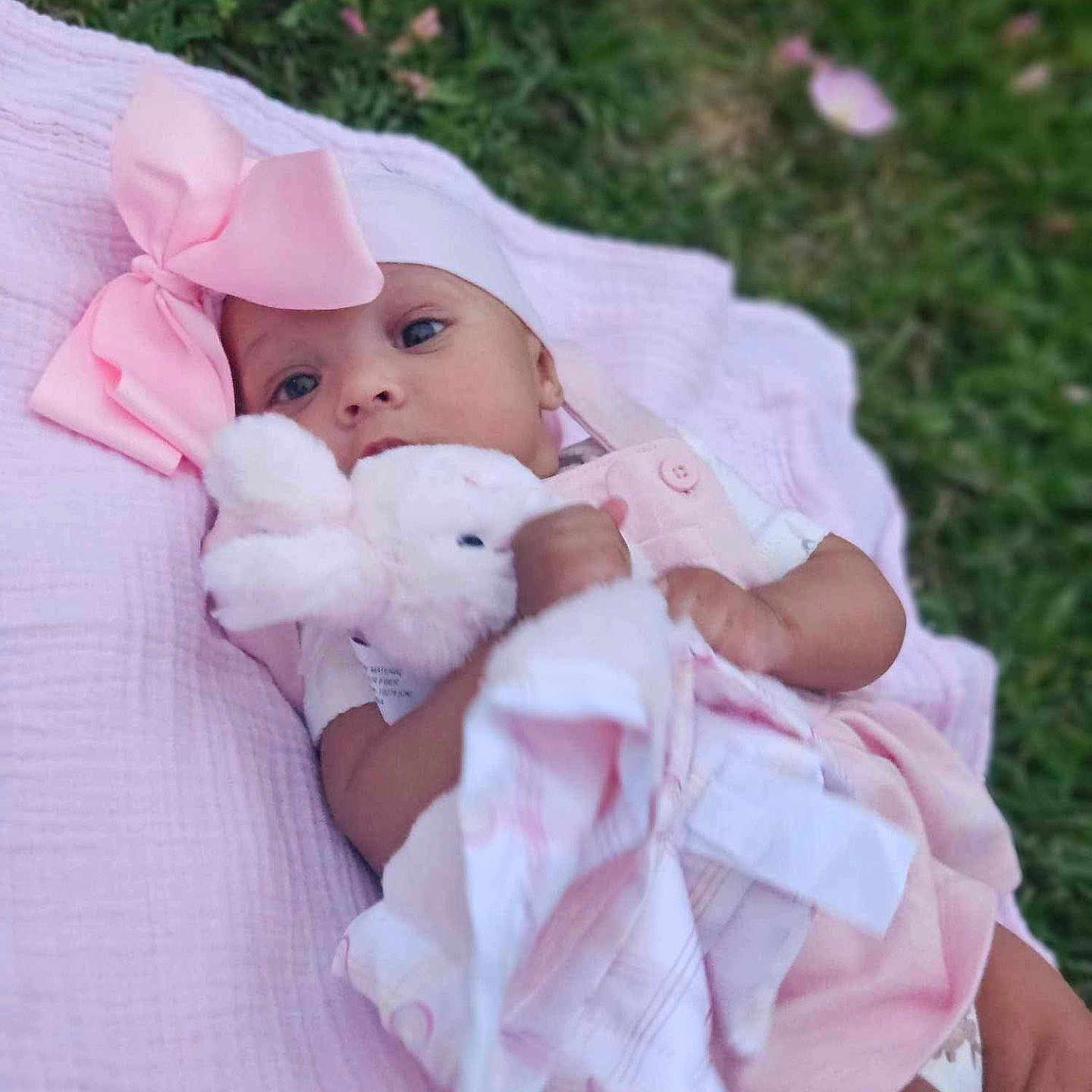 Aurora joined the competition — help win amazing prizes! baby, blanket, bonnet, clothing, dress, face, flower, furniture, grass, hat, head, newborn, person, petal, photography, plant, portrait, quilt, sitting, sleeping