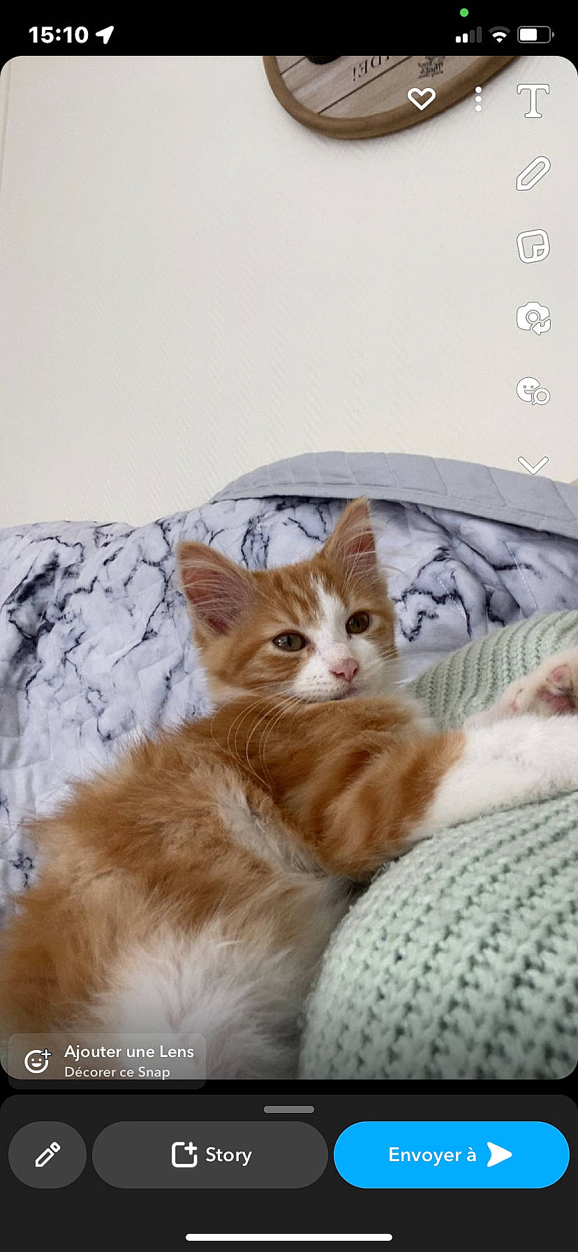 Luffy participe au concours pour gagner de l'argent avec cette photo : bed, bedding, carnivore, cat, cat_supply, claw, comfort, couch, domestic_short_haired_cat, felidae, fur, linens, nap, paw, photo_caption, small_to_medium_sized_cats, tail, whiskers