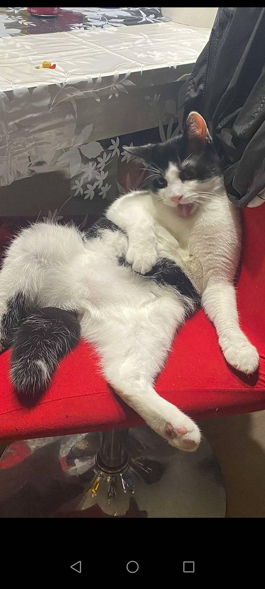 Simba