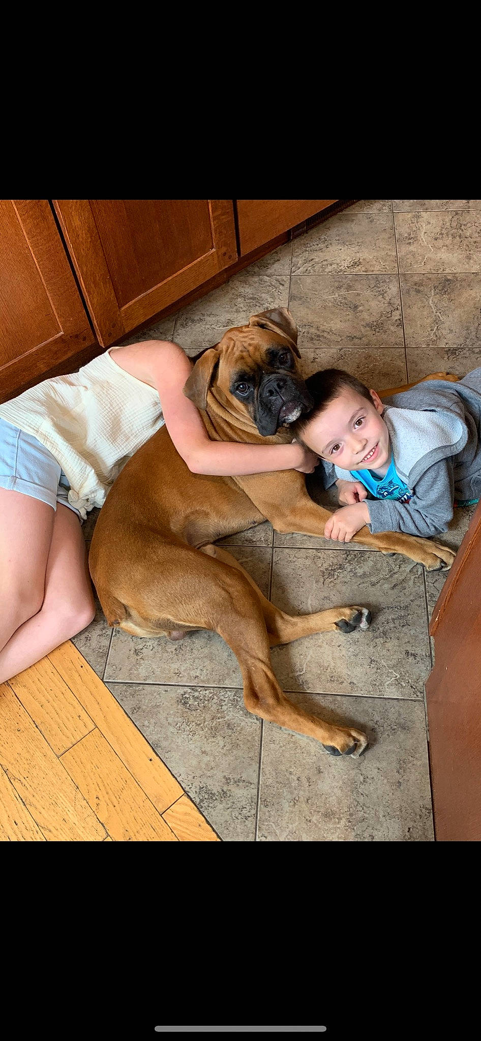 Riggs is registered to the contest to win money with this photo: carnivore, comfort, companion_dog, dog, dog_breed, fawn, floor, flooring, fur, happy, hardwood, human_leg, leg, sitting, snout, sporting_group, thigh, toddler, wood, working_animal