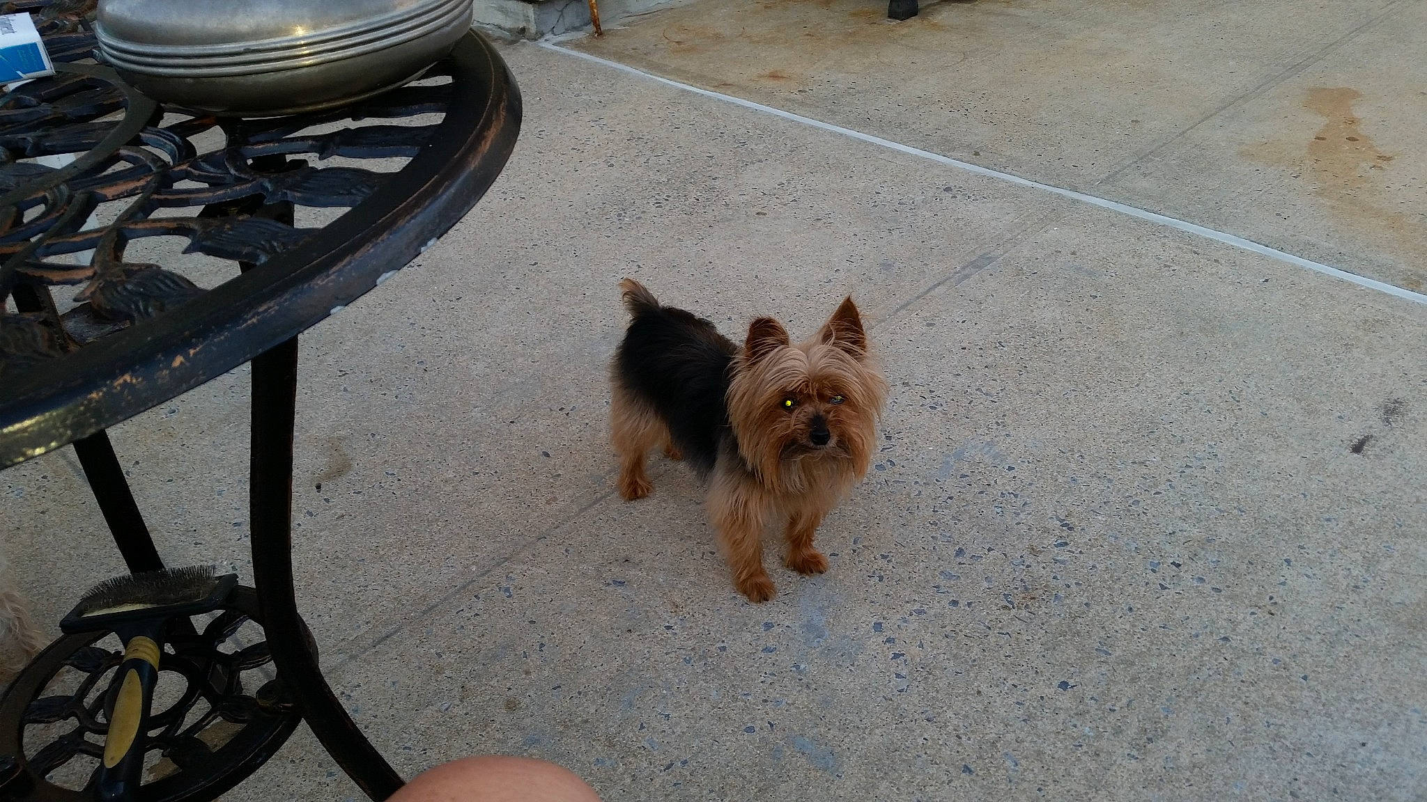 Nicolette Yorkshire joined the competition — help win amazing prizes!