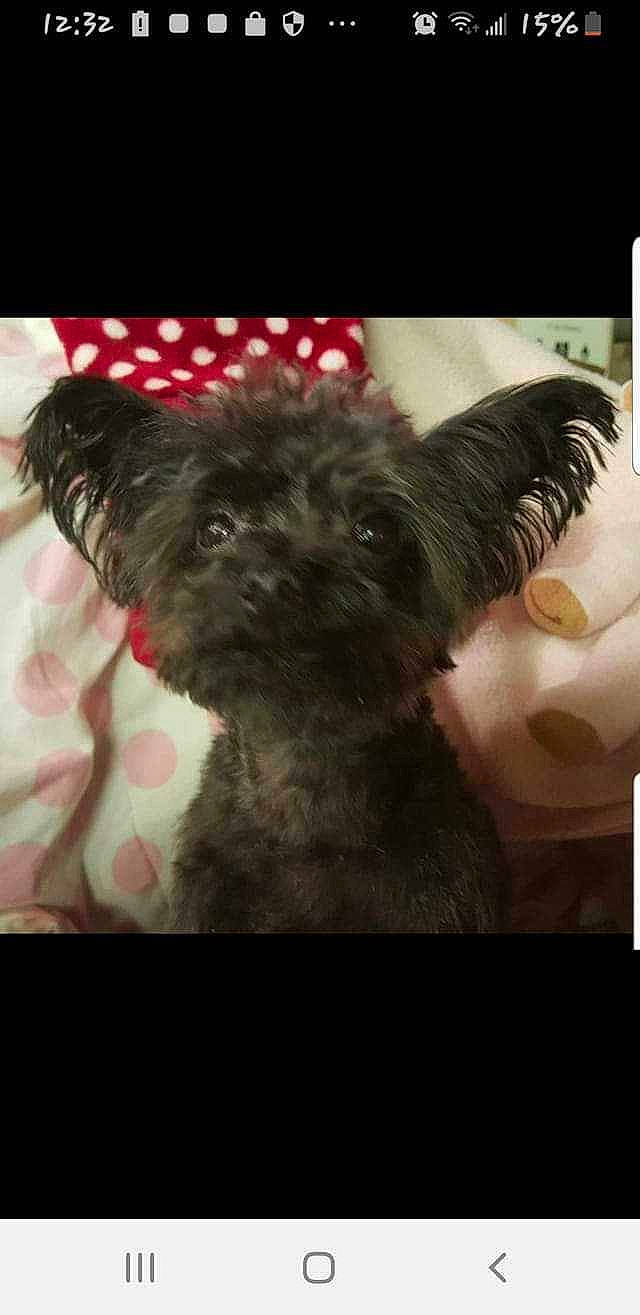 Snipsnap  is registered to the contest to win money with this photo: