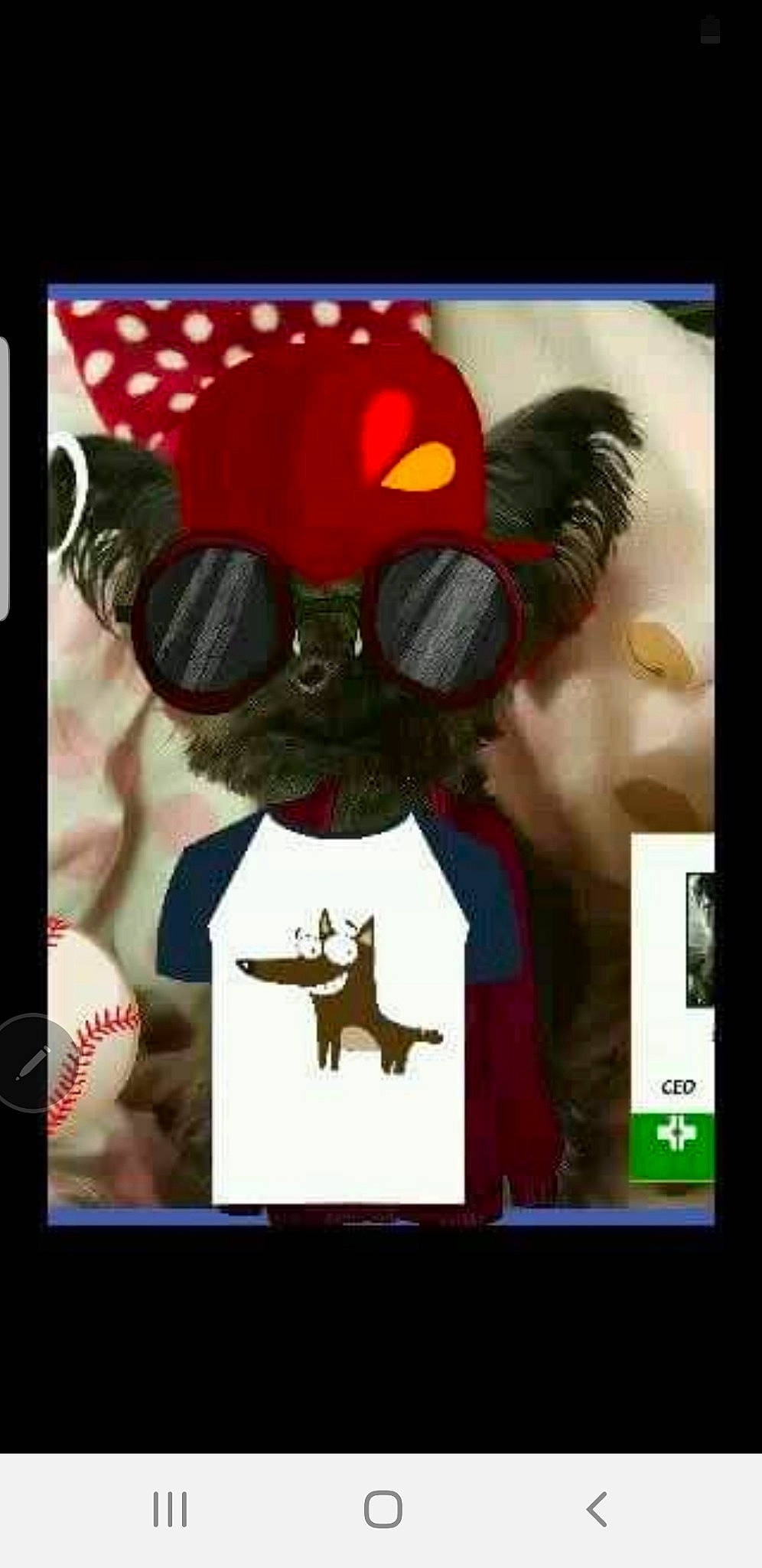 Snipsnap  is registered to the contest to win money with this photo: