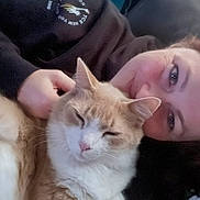 King joined the competition — help win amazing prizes! animal, casual, cat, comfort, couch, cozy, face, feline, friendship, happy, home, indoor, person, pet, relaxed, resting, sleepy, smile, snuggling, warmth