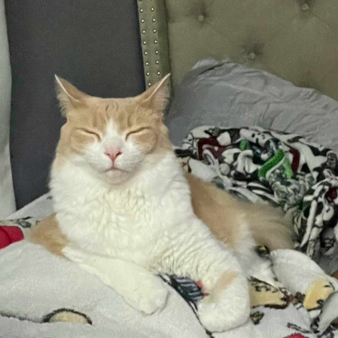 King