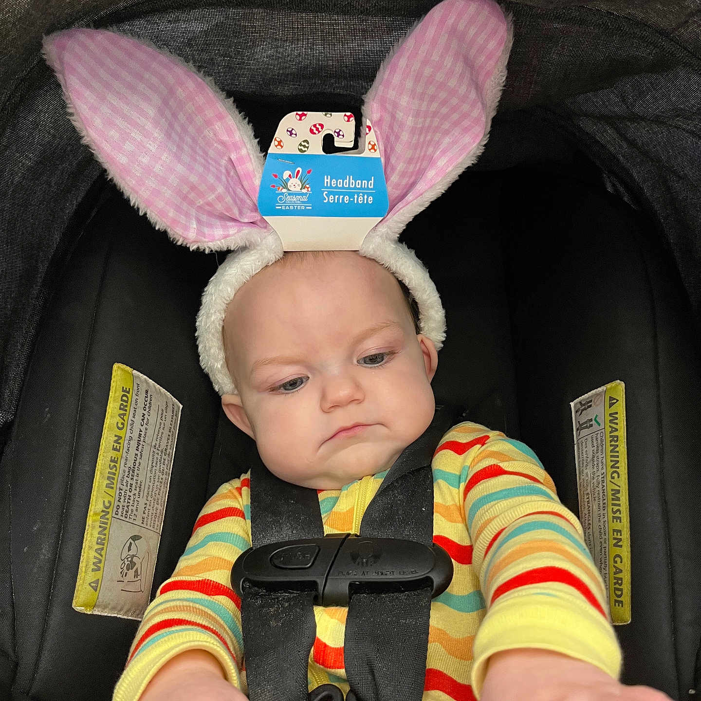 Renesmee is registered to the contest to win money with this photo: baby, child, car_seat, bunny_ears, headband, striped_clothing, colorful, infant, sitting, serious_expression, hands, safety_harness, black_car_seat, indoors, cute, playful, tag, pink, yellow, red