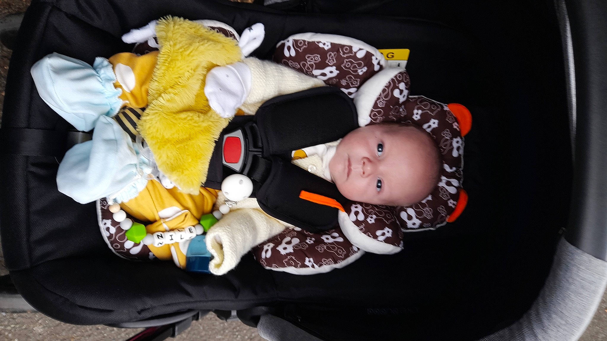 Nile is registered to the contest to win money with this photo: baby, baby_carriage, baby_products, baby_toddler_clothing, baby_toys, chair, child, comfort, costume, fur, hat, head, headgear, lap, linens, person, room, sitting, sleeve, stuffed_toy