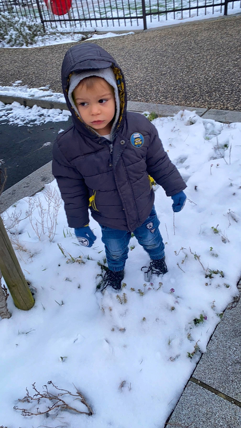 Maylonn participe au concours pour gagner de l'argent avec cette photo : baby_toddler_clothing, cheek, child, eye, face, freezing, fun, glove, grass, headwear, hoodie, jacket, parka, people_in_nature, person, photograph, recreation, sleeve, snow, toddler