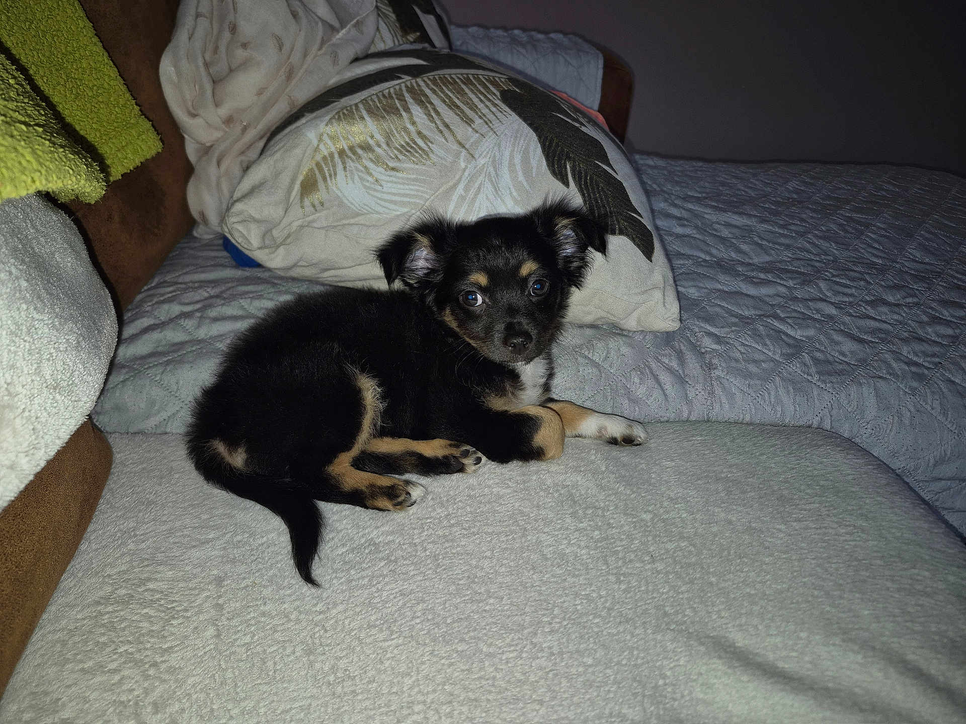 Athena