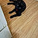 Blackie