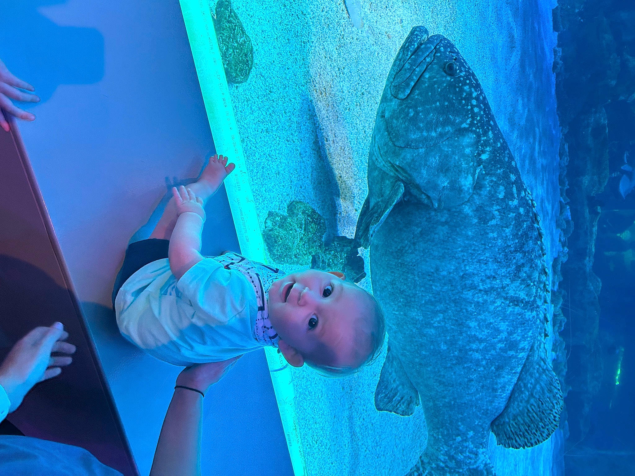 Callan is registered to the contest to win money with this photo: aqua, azure, blue, child, elbow, electric_blue, fun, human_body, human_leg, knee, leisure, magenta, person, purple, recreation, room, toddler, tree, visual_arts, water