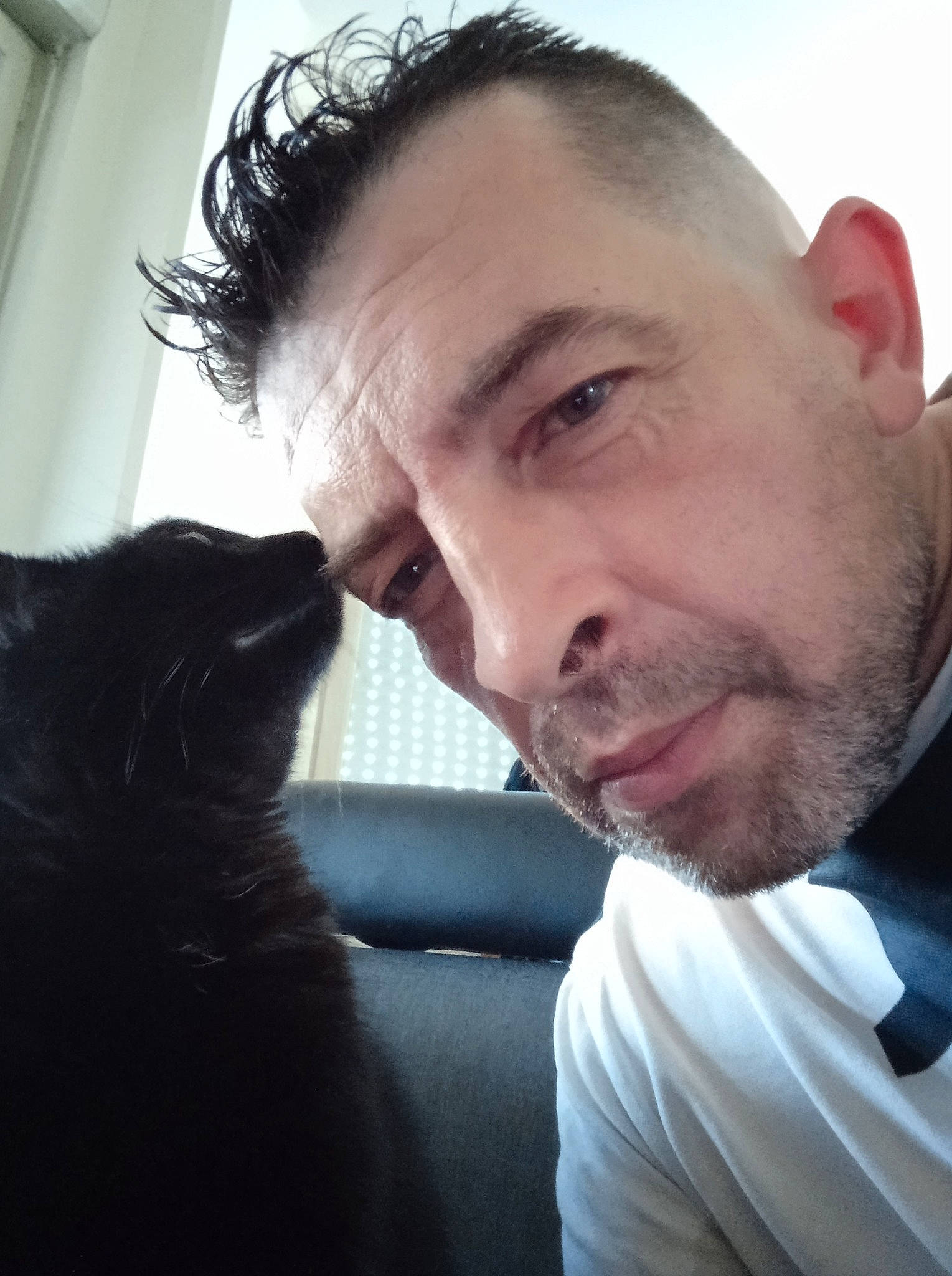 Lounah participe au concours pour gagner de l'argent avec cette photo : beard, cat, chin, ear, eye, eyebrow, eyelash, facial_expression, flash_photography, forehead, gesture, hair, hairstyle, jaw, lip, mouth, neck, nose, shoulder, skin