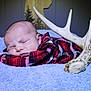 Sutton is registered to the contest to win money with this photo: baby, sleeping, plaid, red, blanket, blue, soft, antler, wood, deer_silhouette, cozy, indoor, portrait, infant, peaceful, resting, cute, warm, child, nursery