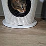 cat, tabby, pet, animal, indoor, cozy, cat_condo, wooden_floor, feline, curious, whiskers, green_eyes, knitted_texture, home, comfort, resting, cute, small_space, striped_fur, peeking