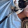 Neptune participe au concours pour gagner de l'argent avec cette photo : kitten, cat, black_and_white, collar, leash, person, shoulder, gray_shirt, long_hair, outdoor, daylight, pet, curious, animal, close_up, young_cat, domestic_cat, feline, cute, companion