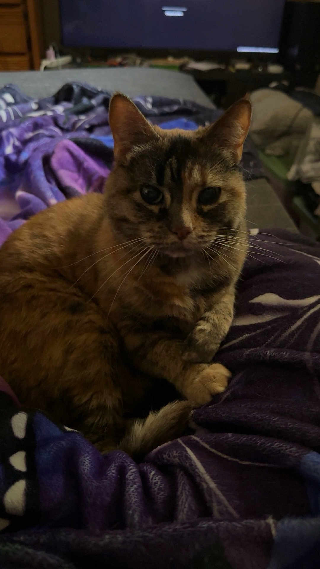 Twix