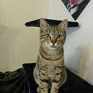 Joy a rejoint le concours — aidez-le/la à gagner de superbes lots !