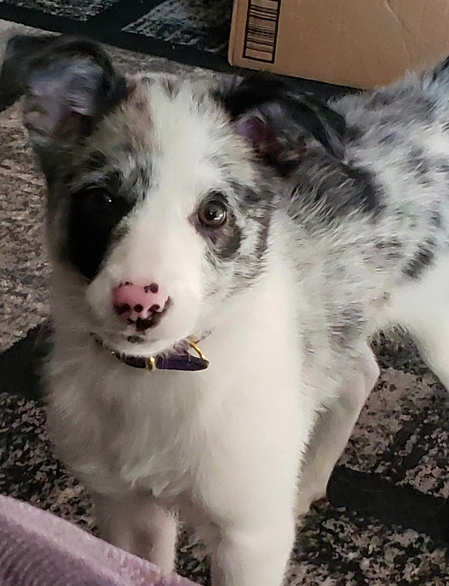 Lucy