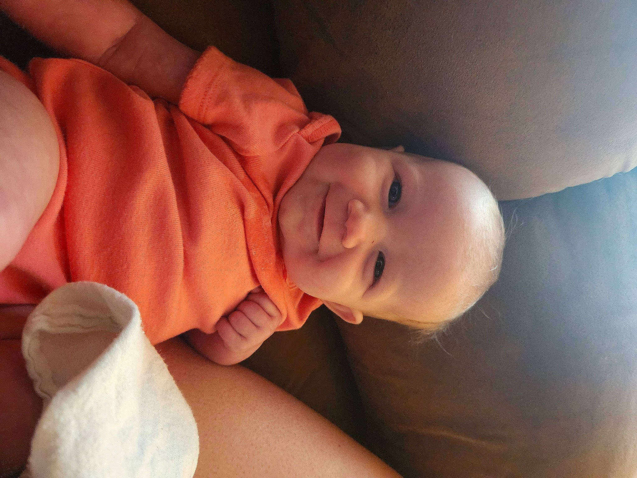 Marley is registered to the contest to win money with this photo: baby, baby_toddler_clothing, cheek, child, comfort, elbow, eye, facial_expression, finger, flash_photography, gesture, happy, joy, lip, mouth, neck, nose, person, skin, smile