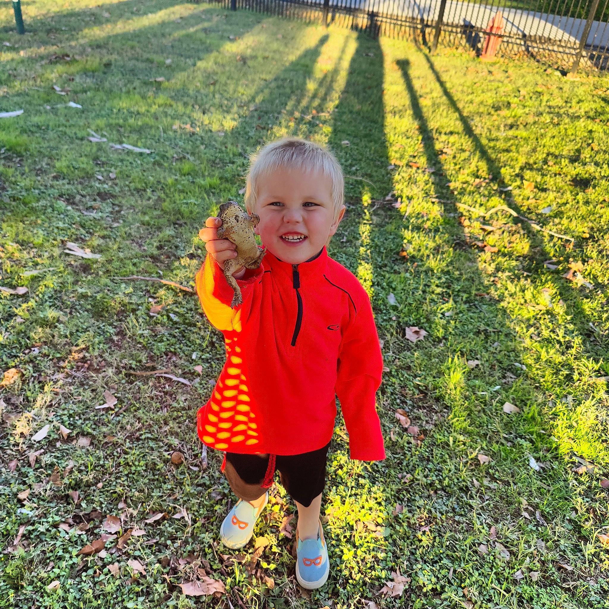 Jrue is registered to the contest to win money with this photo: baby, baby_toddler_clothing, child, fun, garden, grass, grassland, happy, joy, landscape, lawn, leisure, natural_landscape, pattern, people_in_nature, person, plant, play, smile, soil