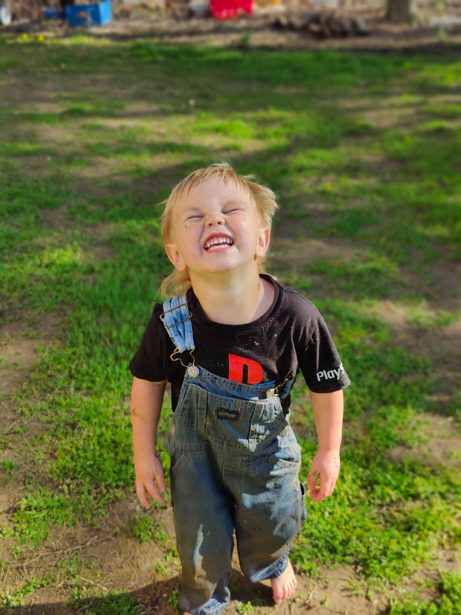 Jrue is registered to the contest to win money with this photo: child, fun, grass, grass_family, grassland, happy, landscape, lawn, leisure, meadow, pattern, people_in_nature, person, recreation, sitting, sleeve, smile, soil, t_shirt, toddler