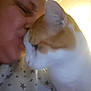 person, cat, kiss, affection, closeup, orange_and_white_cat, indoor, soft_lighting, face, human, animal, pet, love, interaction, cuddle, blur, shirt, stars, warmth, intimacy