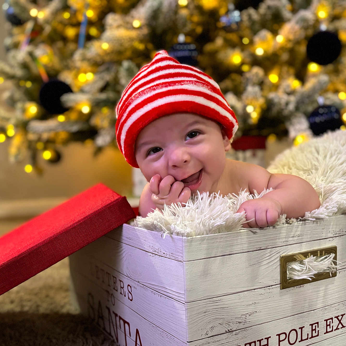 Damián joined the competition — help win amazing prizes! baby, blanket, box, child, christmas_lights, christmas_tree, cute, decorations, festive, happy, hat, holiday, holiday_season, indoor, infant, red_hat, smile, smiling, striped_hat, wooden_box