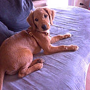 Lovely a rejoint le concours — aidez-le/la à gagner de superbes lots !