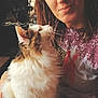 Phelix is registered to the contest to win money with this photo: affection, camera_ui, casual, cat, closeup, cozy, face, fluffy_cat, furniture, home, human, indoor, long_hair, pet, portrait, purple_shirt, selfie, smiling, warm_light, woman
