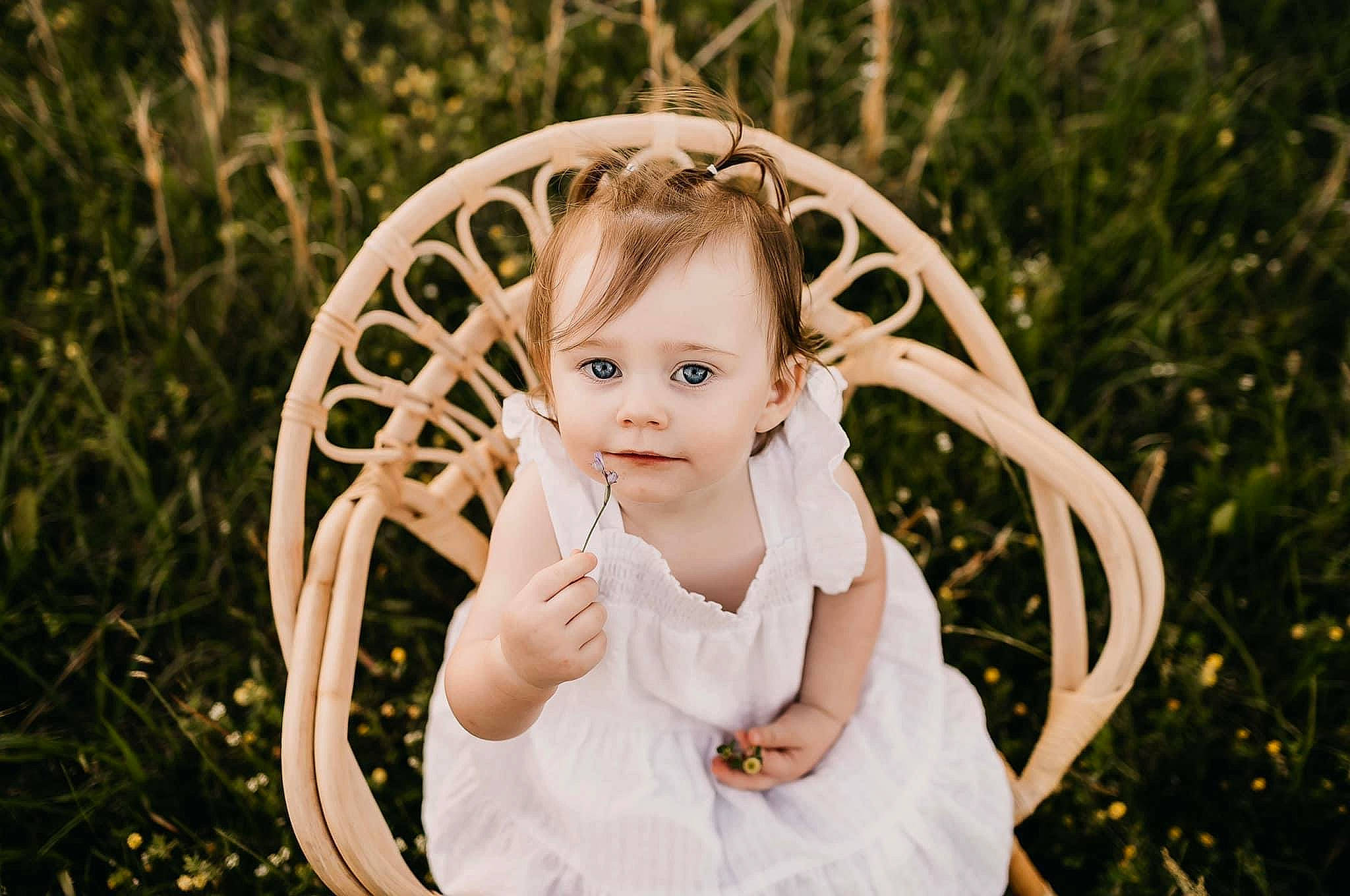 Braxleigh joined the competition — help win amazing prizes! baby_toddler_clothing, beauty, blond, bridal_accessory, chair, child, dress, event, fawn, flash_photography, fun, grass, grass_family, happy, headpiece, people_in_nature, person, plant, sitting, toy